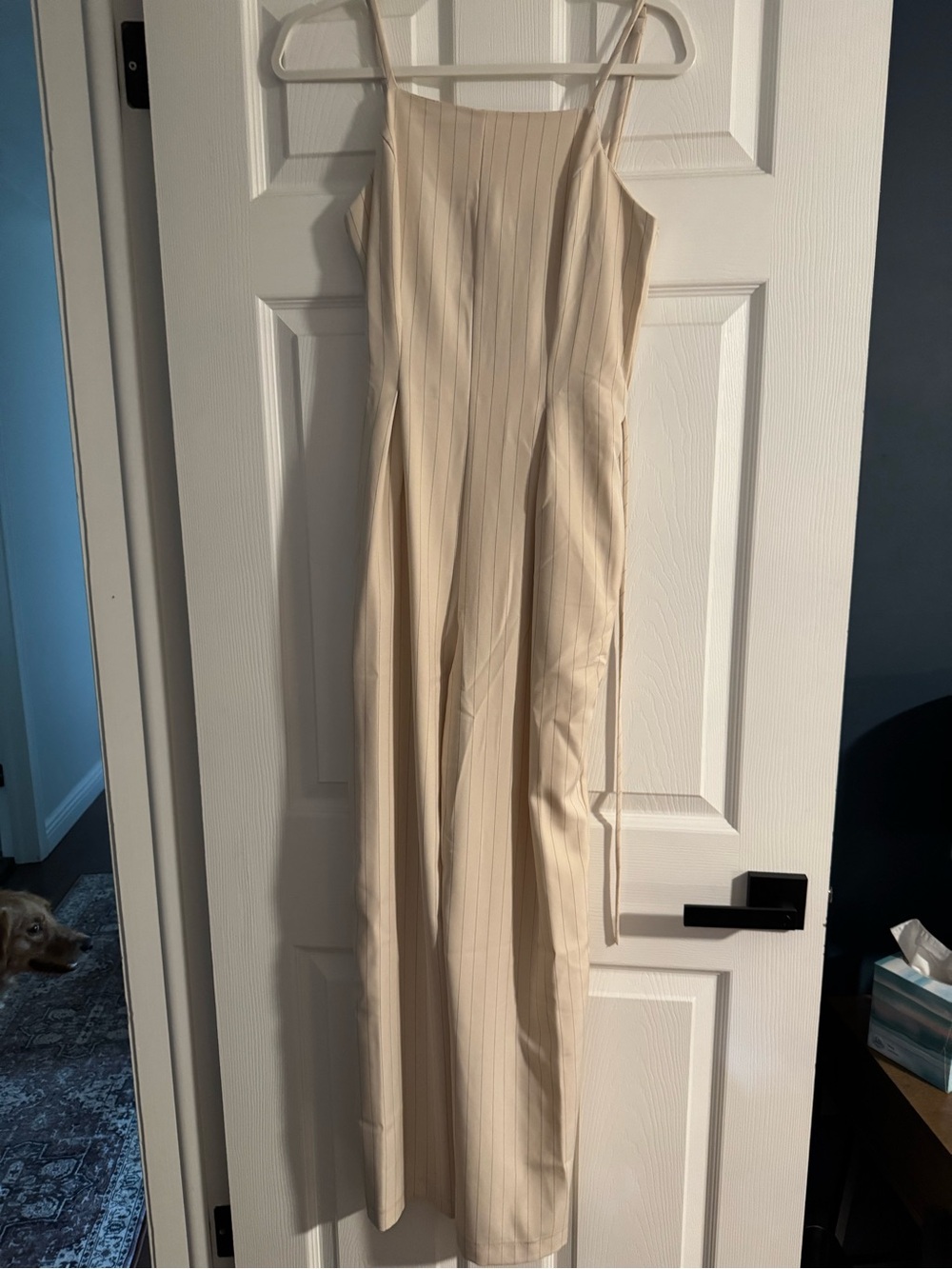 Cream Pinstripe Sleeveless Jumpsuit - Picture 1 of 5